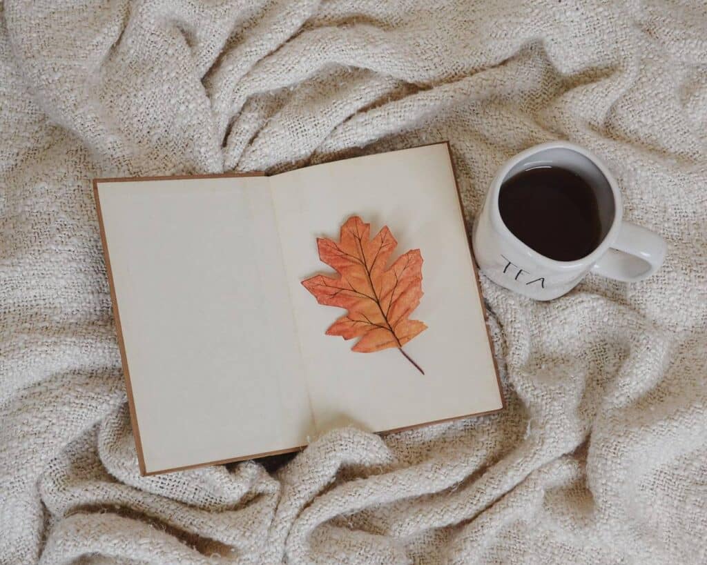 Top Tips for Welcoming Autumn into Your Home